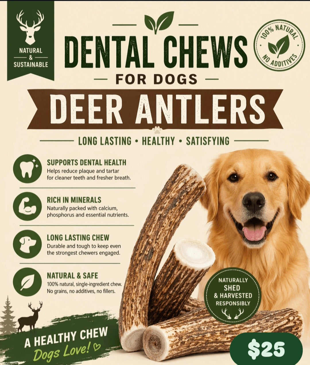 Deer Antler variable sizes