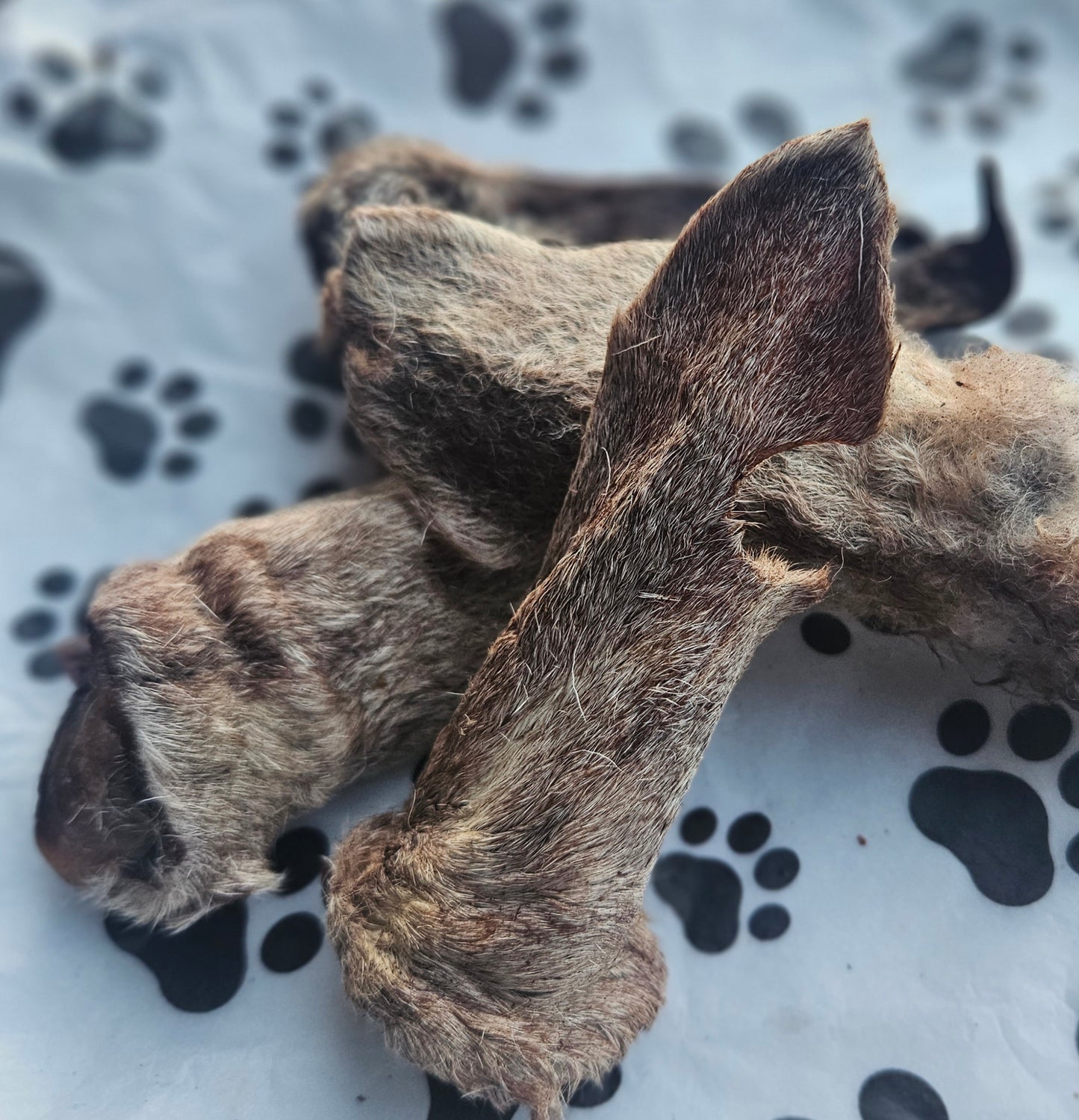 Goat Ears fur on (5 per packet)