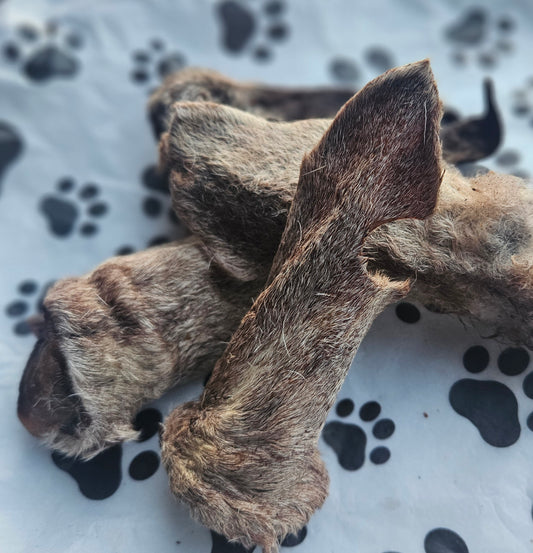 Goat Ears fur on (5 per packet)